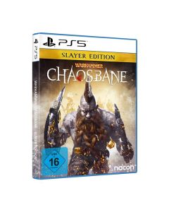 Sony Jeux PS5 Chaosbane Slayer