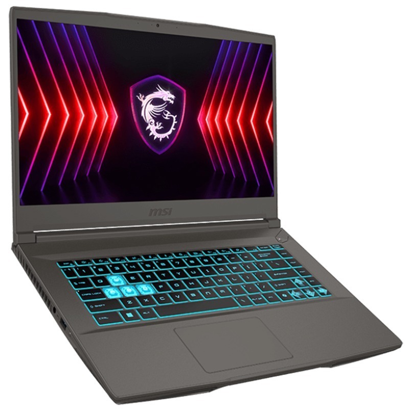 Gamer MSI Thin 15 B13UDX i7 13è Gén RTX3050